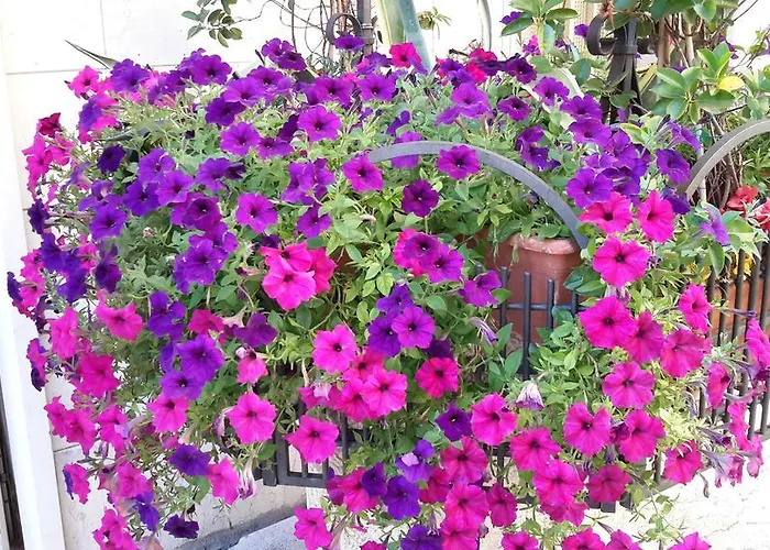 Hotel Trento