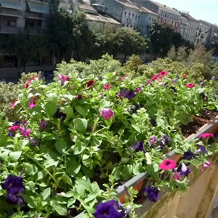 Trento Verona